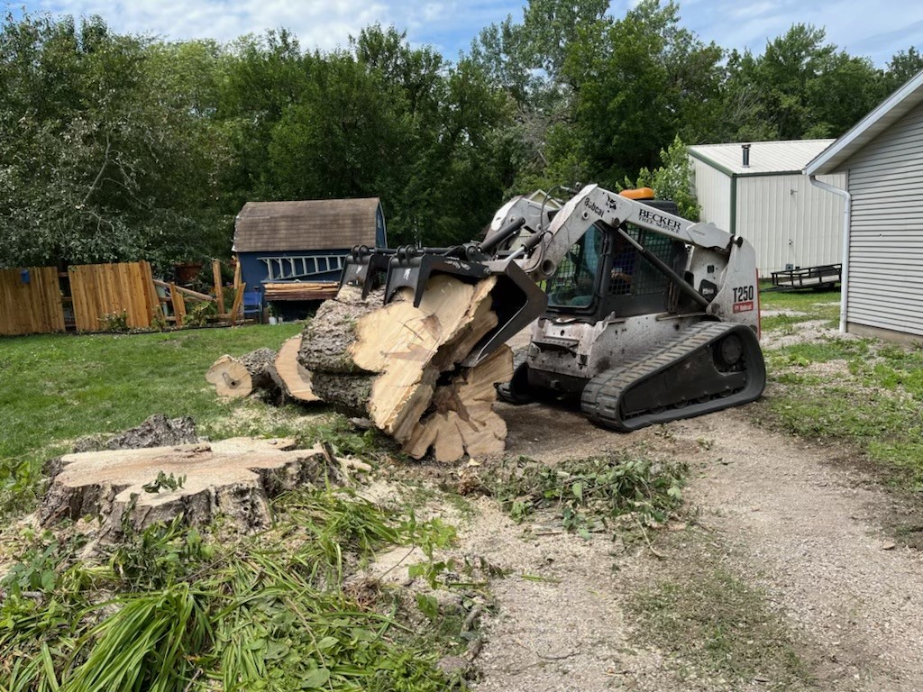 stump grinding at a work site