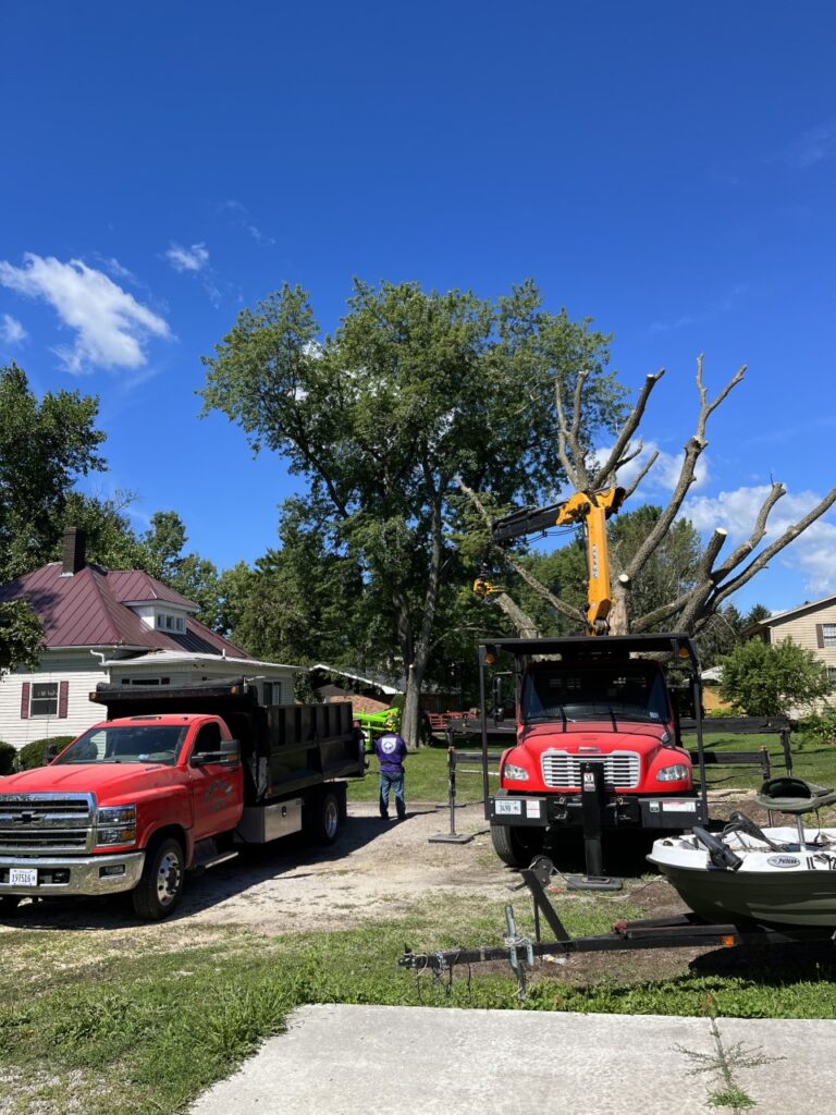 Tree Services in Bloomington - Becker Tree Service